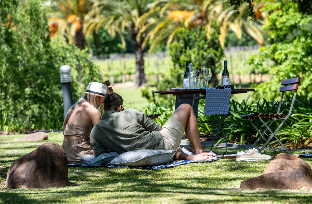 PICNIC-1