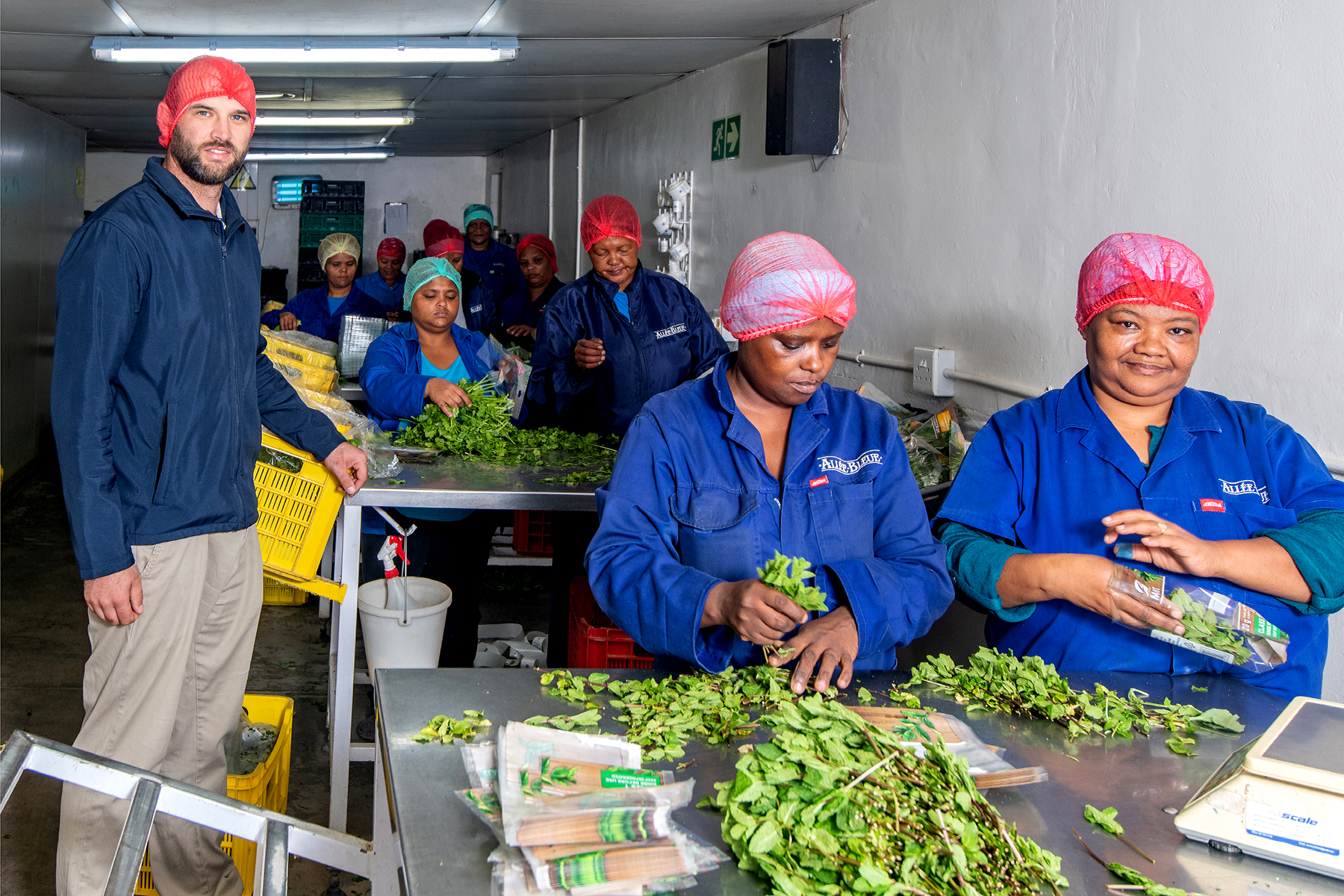 Stiaan & Herbs pacakaging team