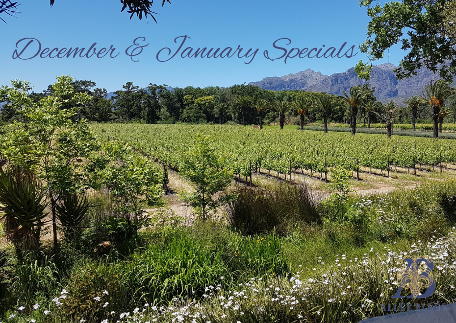 December & January Wine Special Offers